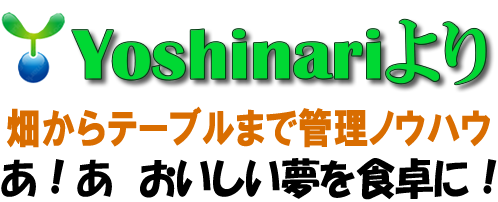 デザインも自由自在にカスタマイズ可能！
